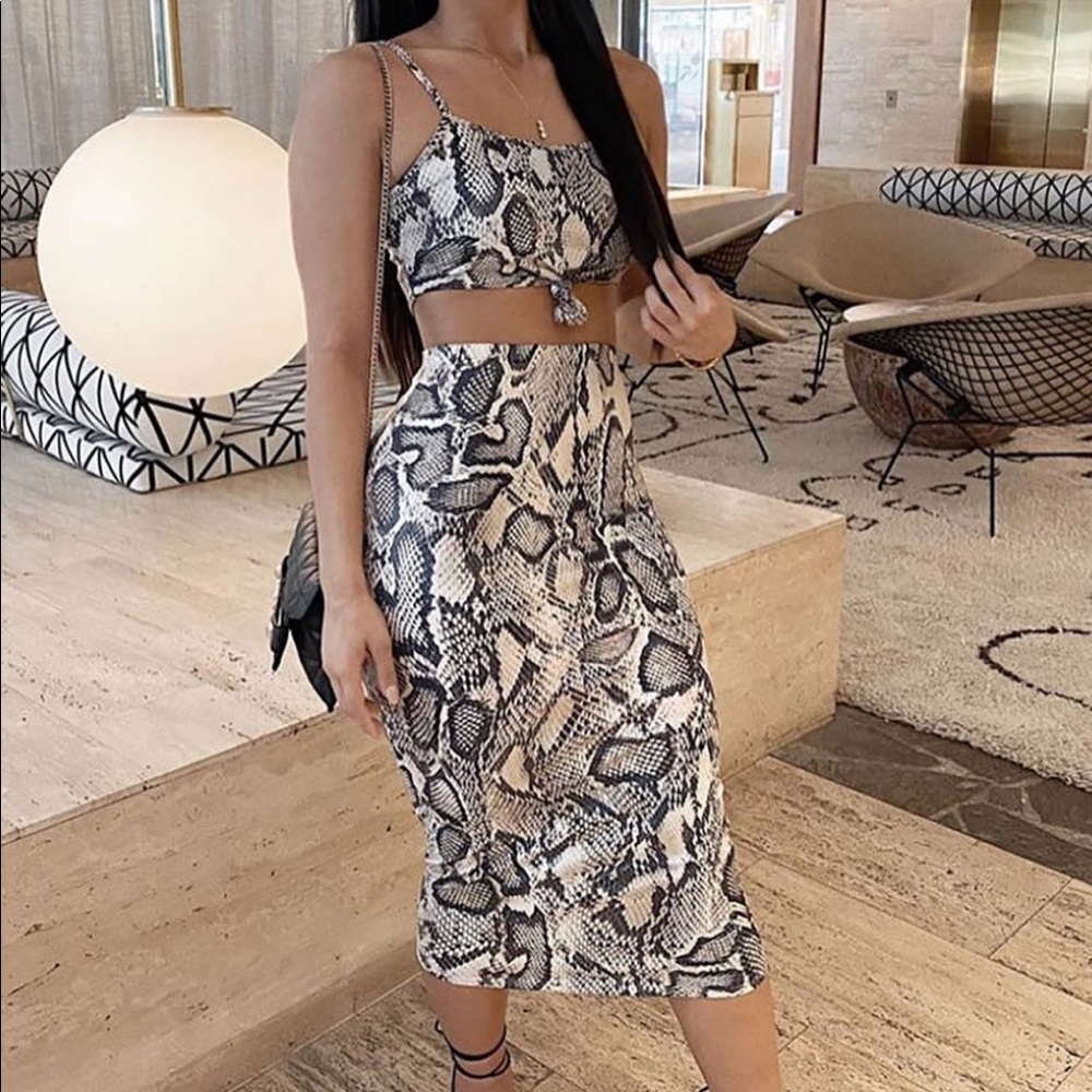 Fashion Nova Snake Skin 2 Piece Skirt Set
